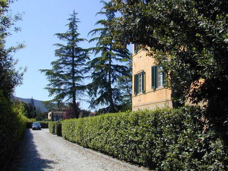Villa La Nina Montecarlo Extérieur photo